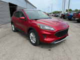 Used 2020 Ford Escape SE image 2