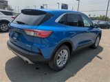 Certified 2021 Ford Escape SE w/ Cold Weather Package image 5