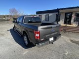 Used 2019 Ford F150 XLT w/ Equipment Group 302A Luxury image 3