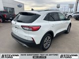 Used 2022 Ford Escape SEL image 4