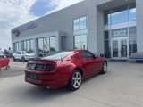 Used 2013 Ford Mustang GT Premium w/ Comfort Pkg image 4