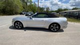Used 2017 Ford Mustang Convertible w/ Equipment Group 051A image 5