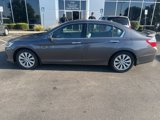 Used 2013 Honda Accord EX-L image 6