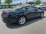 Used 2014 Ford Mustang Coupe w/ Equipment Group 102A image 4