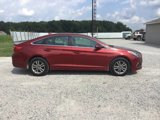 Used 2016 Hyundai Sonata SE image 2