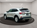 Used 2020 Ford Escape SE image 4