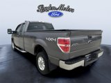 Used 2013 Ford F150 XL image 4