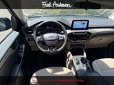 Used 2022 Ford Escape SE w/ SE Sport Appearance Package image 2
