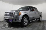 Used 2013 Ford F150 XLT w/ Luxury Equipment Group image 2