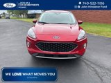 Certified 2022 Ford Escape SEL image 5