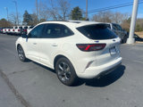 Used 2024 Ford Escape ST-Line image 3