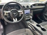 Used 2022 Ford Mustang Coupe w/ Equipment Group 101A image 4