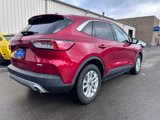 Used 2020 Ford Escape SE image 5