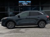 Certified 2022 Ford Escape SEL image 2