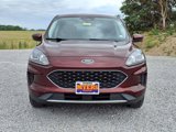 Used 2021 Ford Escape SE image 3