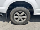 Used 2018 Ford F150 XLT w/ Equipment Group 302A Luxury image 5