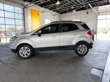 Used 2019 Ford EcoSport SE w/ SE Convenience Package image 4