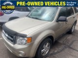 Used 2011 Ford Escape XLT w/ 202A Rapid Spec Order Code image 2