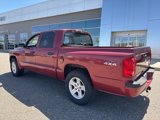 Used 2011 Dodge Dakota Big Horn image 3