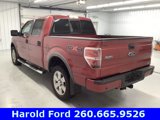 Used 2010 Ford F150 FX4 image 5