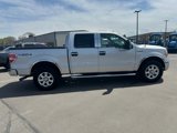 Used 2014 Ford F150 XLT w/ Equipment Group 302A Luxury image 2