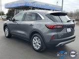 Certified 2024 Ford Escape Active image 4