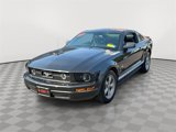 Used 2008 Ford Mustang Deluxe image 3