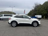 Used 2020 Ford Escape SE image 4