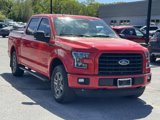 Used 2016 Ford F150 XLT w/ Equipment Group 302A Luxury image 2