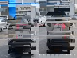 New 2025 GMC Terrain Elevation image 5