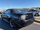 Used 2003 Ford Mustang Convertible image 5