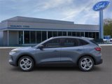 New 2025 Ford Escape ST-Line w/ Cold Weather Package image 3