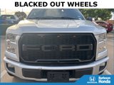 Used 2016 Ford F150 XLT w/ Equipment Group 302A Luxury image 2