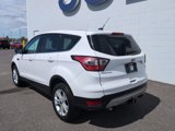 Used 2017 Ford Escape SE image 3