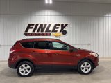 Used 2016 Ford Escape SE w/ Equipment Group 201A image 2