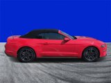 Used 2023 Ford Mustang Premium image 2