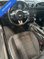 Used 2015 Ford Mustang Coupe w/ Equipment Group 051A image 5
