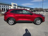 New 2025 Ford Escape Active w/ Cold Weather Package image 2