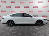 Used 2024 Honda Accord Sport image 6