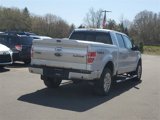 Used 2009 Ford F150 Platinum image 4