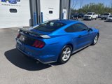Used 2019 Ford Mustang Coupe image 3