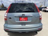 Used 2010 Honda CR-V EX-L image 4
