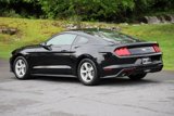 Certified 2021 Ford Mustang Coupe image 2