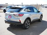 Certified 2022 Ford Escape SE w/ SE Sport Appearance Package image 5