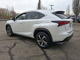 Certified 2020 Lexus NX 300 AWD w/ Premium Package image 4