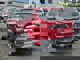 Used 2016 Ford Escape Titanium w/ Equipment Group 301A image 3