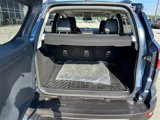 Used 2022 Ford EcoSport SES w/ Interior Protection Package image 5