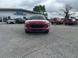 Used 2022 Ford Escape SEL w/ Technology Package image 3