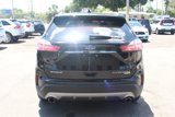 Used 2019 Ford Edge Titanium image 4