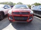 Used 2016 Ford Escape SE w/ SE Leather Comfort Package image 2